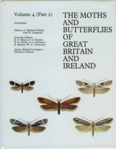 Cover image for Gelechiidae