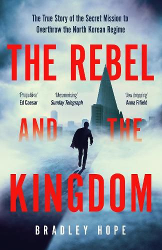 Cover image for The Rebel and the Kingdom