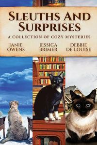 Cover image for Sleuths and Surprises