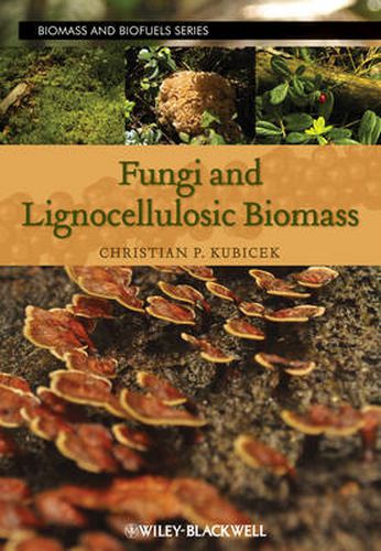 Cover image for Fungi and Lignocellulosic Biomass