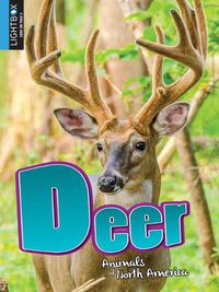 Cover image for Deer