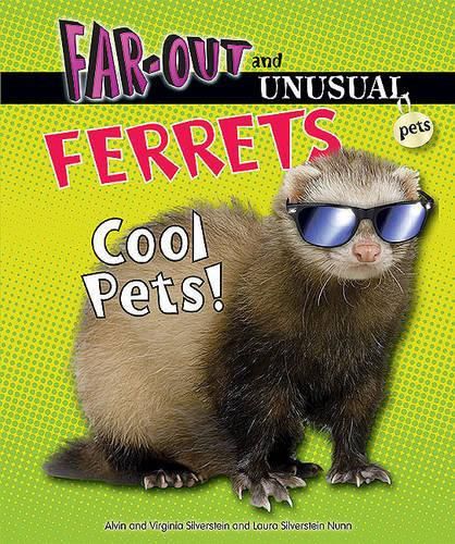 Cover image for Ferrets: Cool Pets!