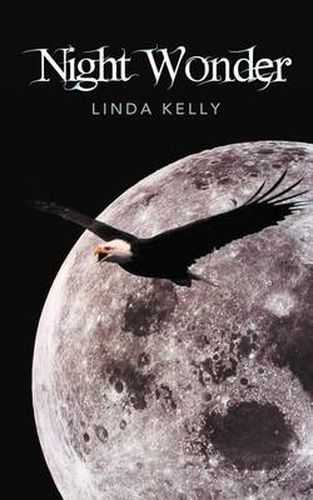 Cover image for Night Wonder