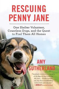 Cover image for Rescuing Penny Jane: One Shelter Volunteer, Countless Dogs, and the Quest to Find Them All Homes