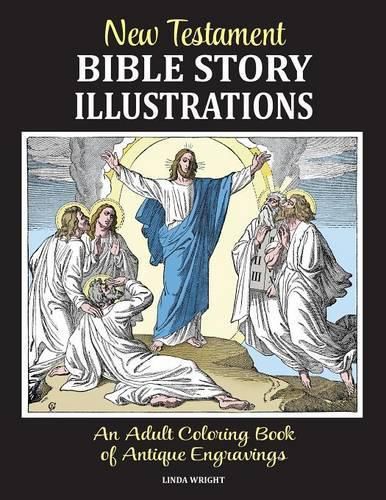 Cover image for New Testament Bible Story Illustrations: An Adult Coloring Book of Antique Engravings