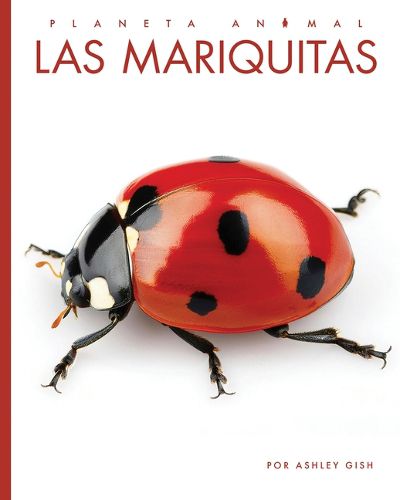 Cover image for Las Mariquitas