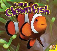 Cover image for I Am a Clownfish