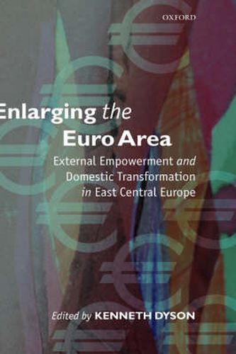 Cover image for Enlarging the Euro Area: External Empowerment and Domestic Transformation in East Central Europe