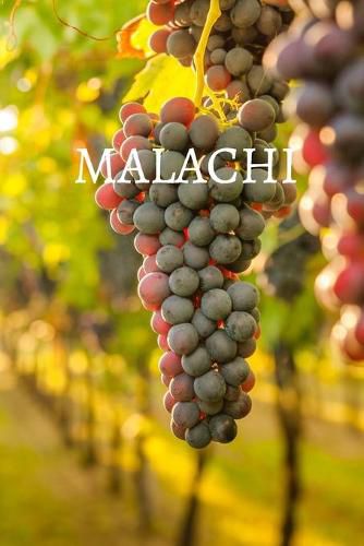 Cover image for Malachi Bible Journal