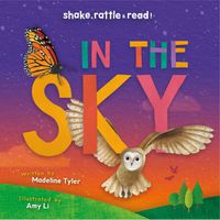 Cover image for In the Sky