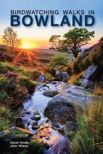 Birdwatching Walks in Bowland