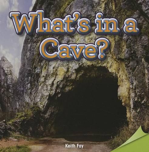 Cover image for What's in a Cave?