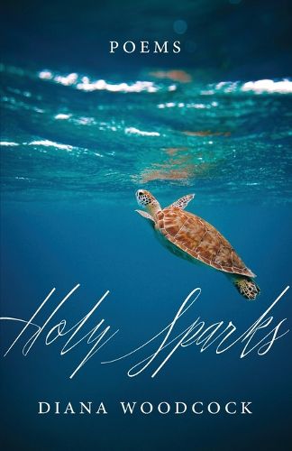 Cover image for Holy Sparks: Poems