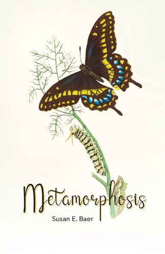 Cover image for Metamorphosis