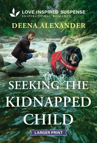 Cover image for Seeking the Kidnapped Child