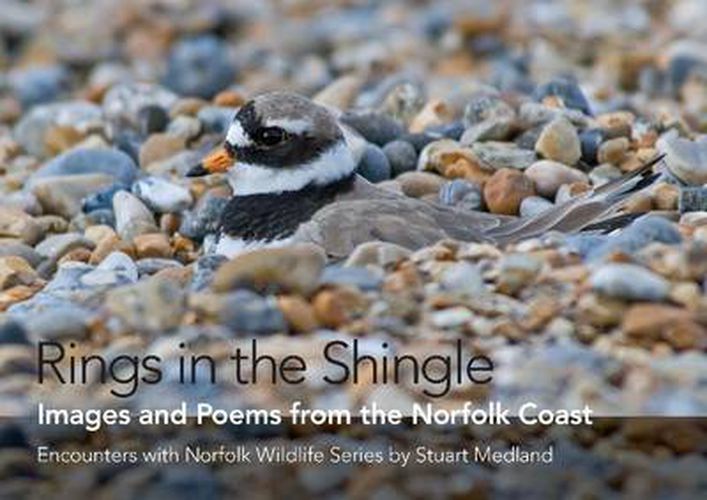 Cover image for Rings in the Shingle: Images and Poems from the Norfolk Coast