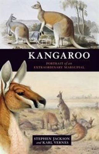 Cover image for Kangaroo: A portrait of an extraordinary marsupial