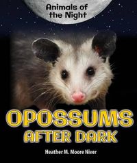 Cover image for Opossums After Dark