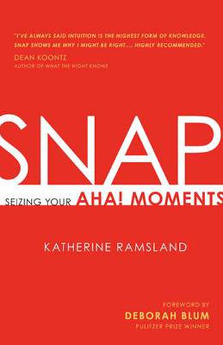 Cover image for SNAP: Seizing Your Aha! Moments