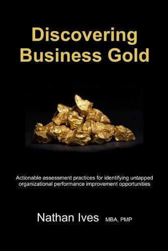 Cover image for Discovering Business Gold