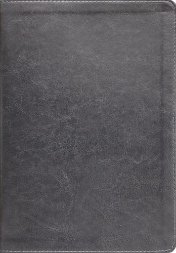 ESV, Thompson Chain-Reference Bible, Leathersoft, Gray, Red Letter, Thumb Indexed