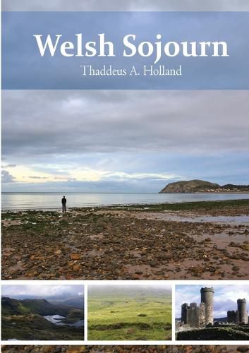 Cover image for Welsh Sojourn