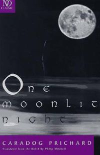 Cover image for One Moonlit Night: Novel