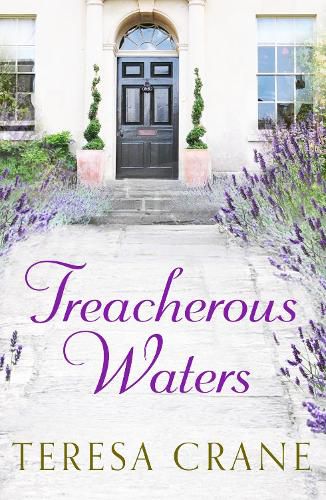 Cover image for Treacherous Waters: A love story full of twists