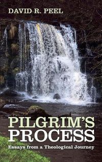 Cover image for Pilgrim's Process
