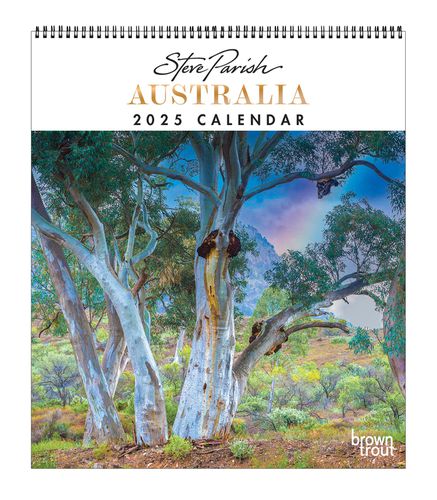 Cover image for 2025 Steve Parish Australia Deluxe Wall Calendar 