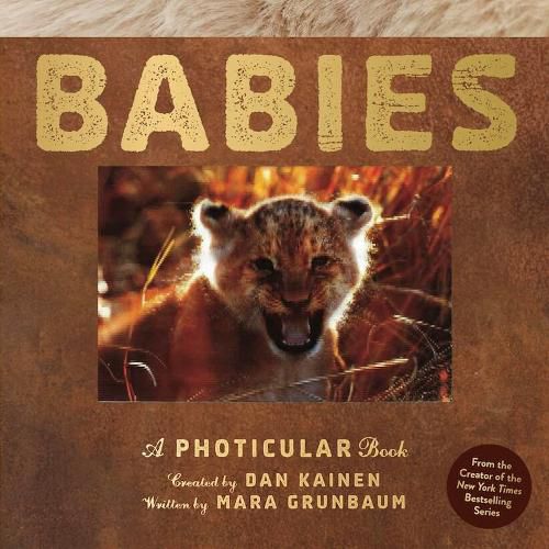 Cover image for Babies