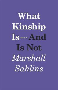 Cover image for What Kinship Is-And Is Not