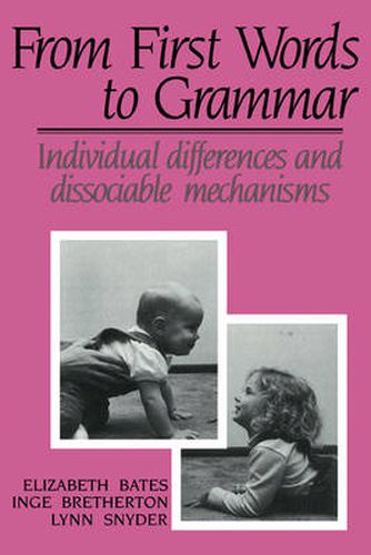 Cover image for From First Words to Grammar: Individual Differences and Dissociable Mechanisms