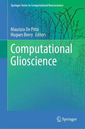 Cover image for Computational Glioscience