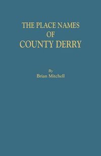 Cover image for The Place Names of County Derry