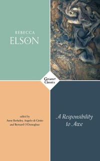 Cover image for A Responsibility to Awe