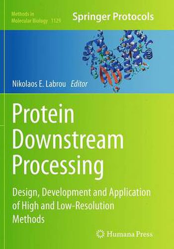 Cover image for Protein Downstream Processing: Design, Development and Application of High and Low-Resolution Methods