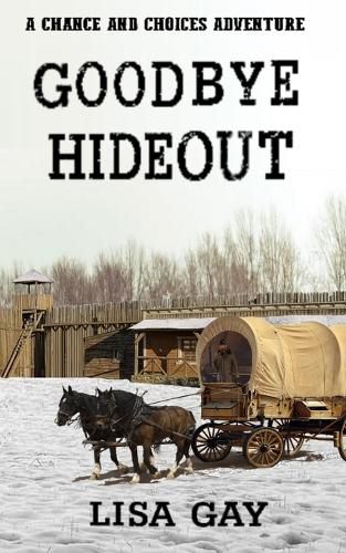 Cover image for Goodbye Hideout