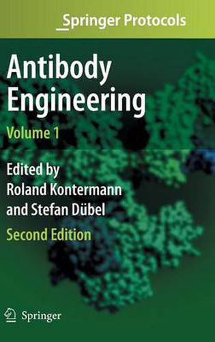 Cover image for Antibody Engineering Volume 1