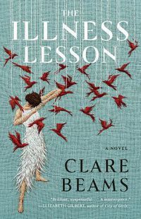 Cover image for The Illness Lesson: A Novel