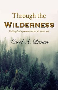 Cover image for Through The Wilderness: Finding God's presence when all seems lost.