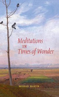 Cover image for Meditations in Times of Wonder