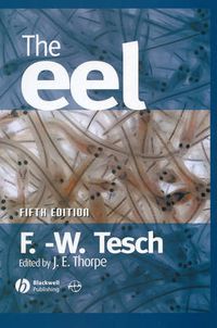 Cover image for The Eel