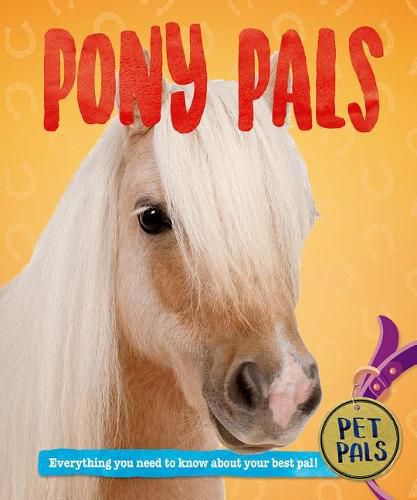 Cover image for Pony Pals