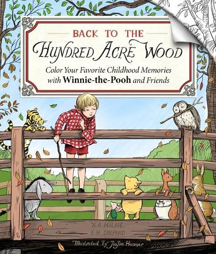 Cover image for Back to the Hundred Acre Wood