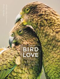 Cover image for Bird Love: The Family Life of Birds