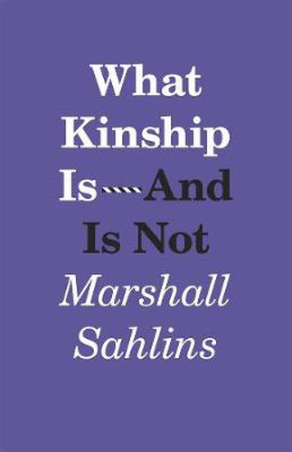 Cover image for What Kinship Is-And Is Not
