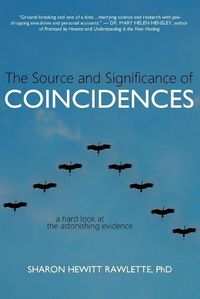 Cover image for The Source and Significance of Coincidences: A Hard Look at the Astonishing Evidence