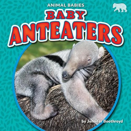 Cover image for Baby Anteaters