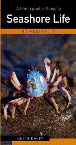 Cover image for Photographic Guide to Seashore Life